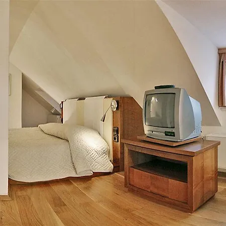 U Zlatého Kola Hotel 4*