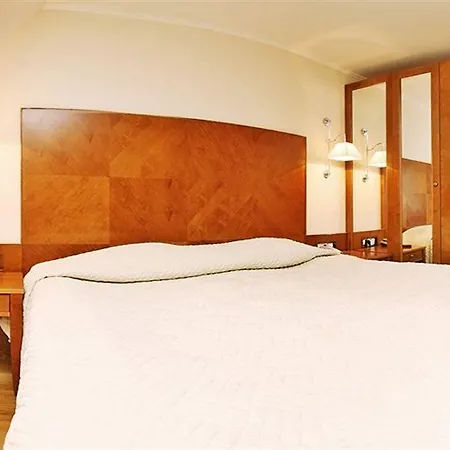 U Zlatého Kola Hotel 4*
