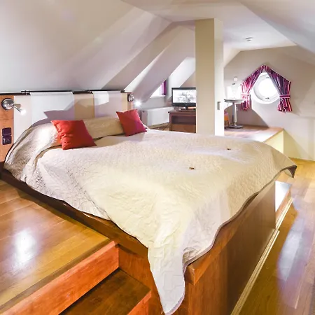 Hotel U Zlatého Kola 4*