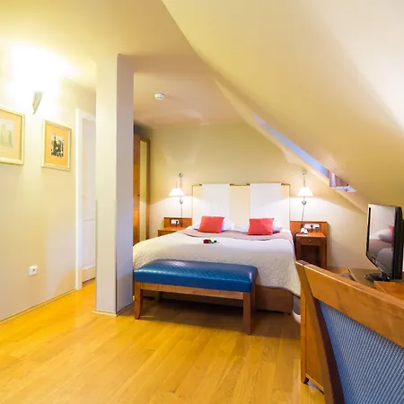 The Golden Wheel Hotel Praga